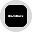Blackrock, Inc. Tokenized Stock (Ondo)