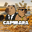 Capybara (capycoin.vip)