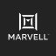 Marvell Technology (Derivatives)