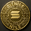 Nile Coin