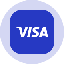 Visa Tokenized Stock (Ondo)