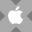 Wrapped Apple Tokenized stock (xStock)